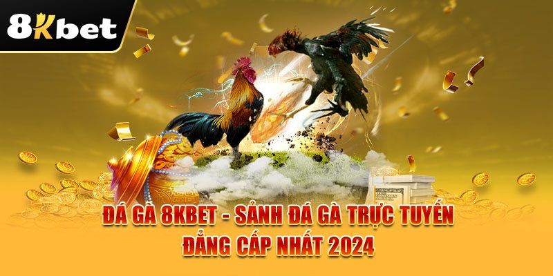 Cá cược đá gà trực tuyến 8kbet siêu kích thích